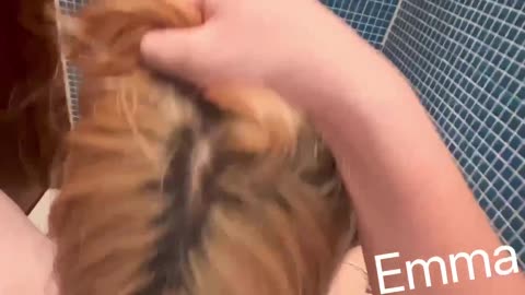 Onlyfans emma_hsieh (7)