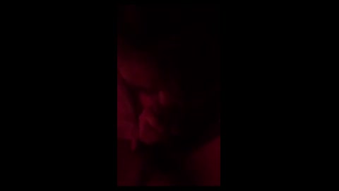 台灣自拍閨蜜外流刺青妹吹喇叭口交
